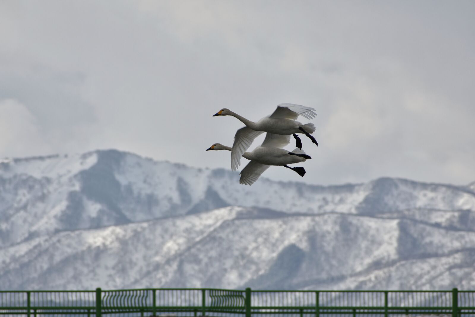 Nikon D7200 sample photo. Natural, landscape, sky photography