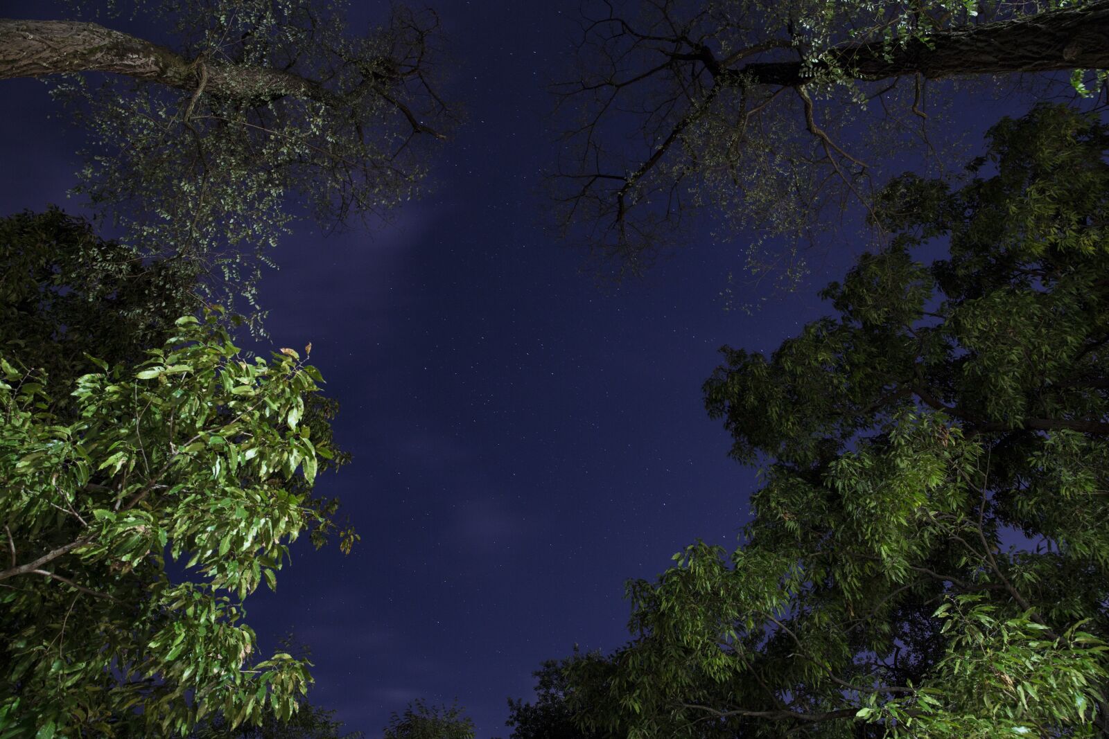 Canon EF 24-70mm F2.8L II USM sample photo. The night sky, the photography