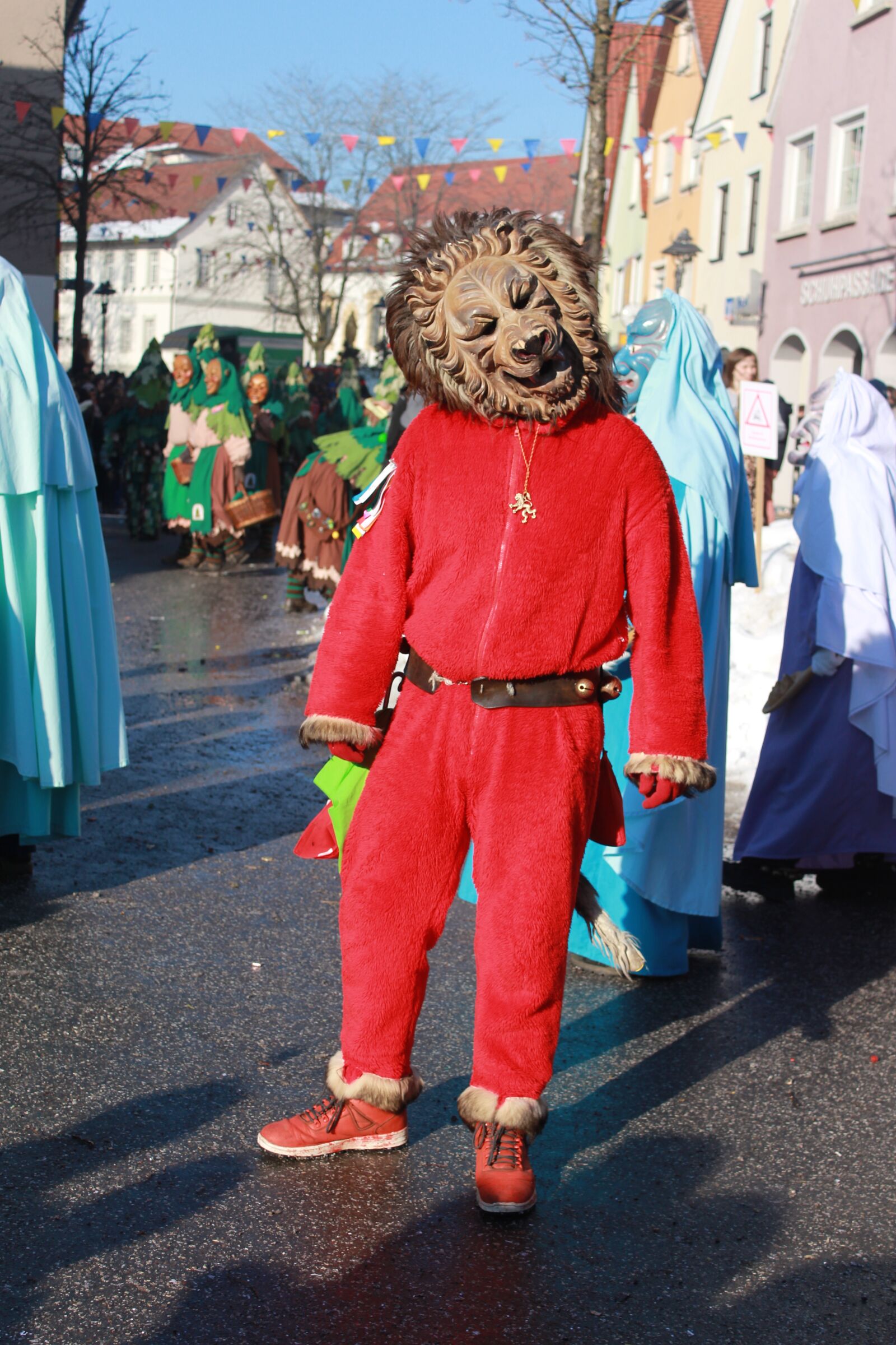 Canon EOS 650D (EOS Rebel T4i / EOS Kiss X6i) sample photo. Fasching, town, celebrate photography