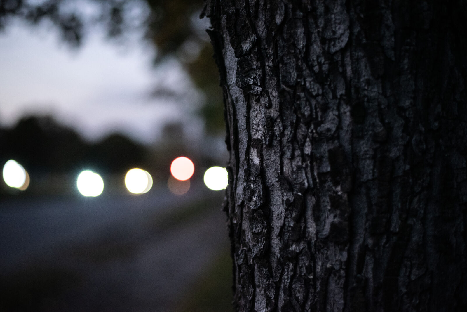 Nikon D750 + Nikon AF-S Nikkor 50mm F1.8G sample photo