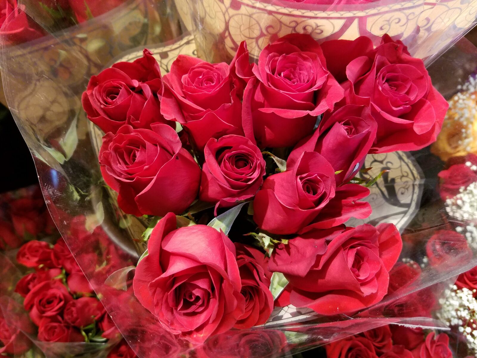 Samsung Galaxy S7 Edge sample photo. Roses, flowers, bloom photography