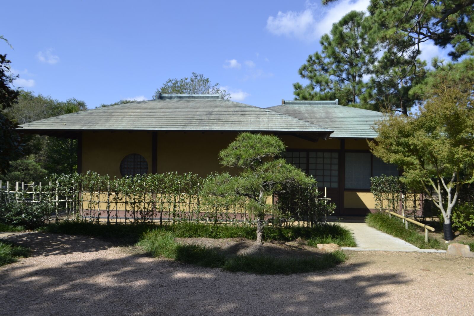Nikon D3100 sample photo. Japanese garden, tree, houston photography