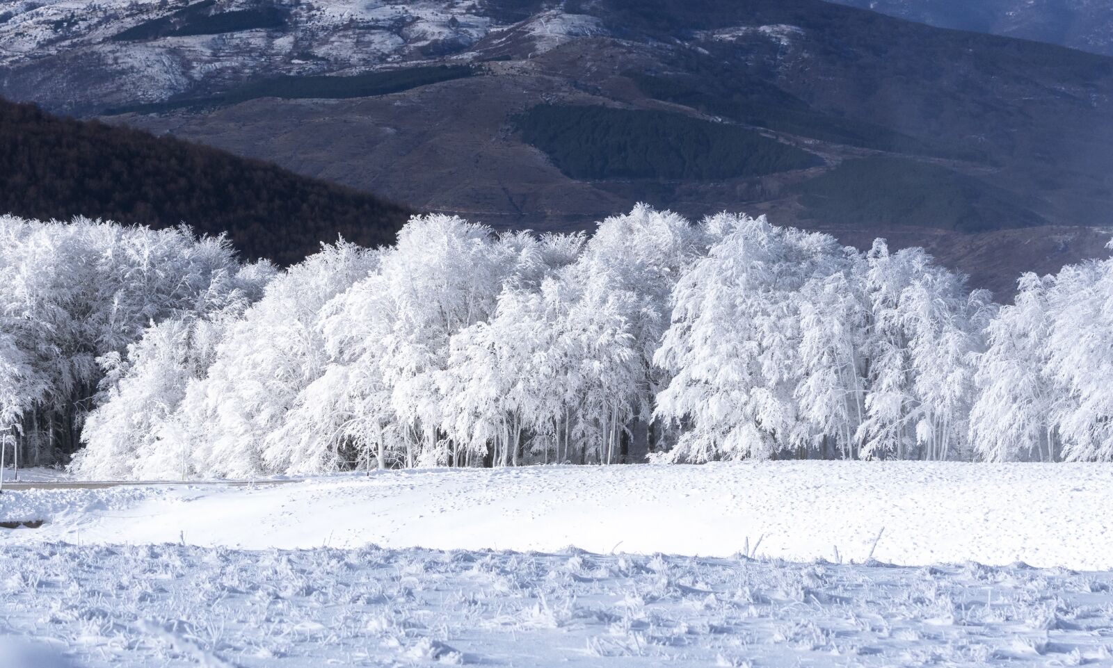 Nikon D7200 sample photo. Winter, snow, cold photography