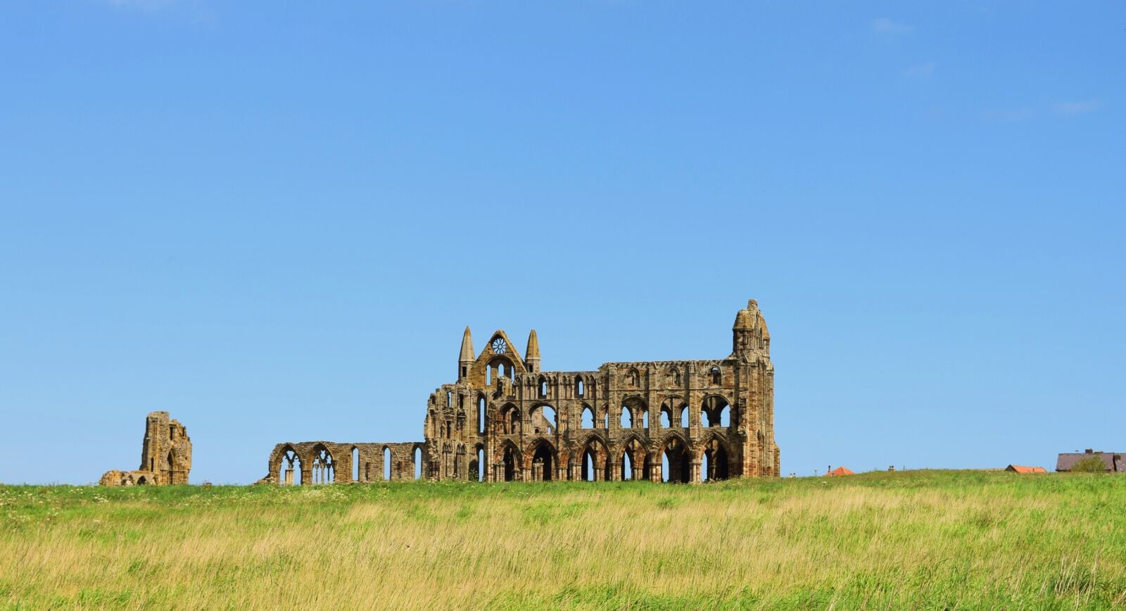 Nikon D3300 sample photo. Whitby, abbey, dracula photography