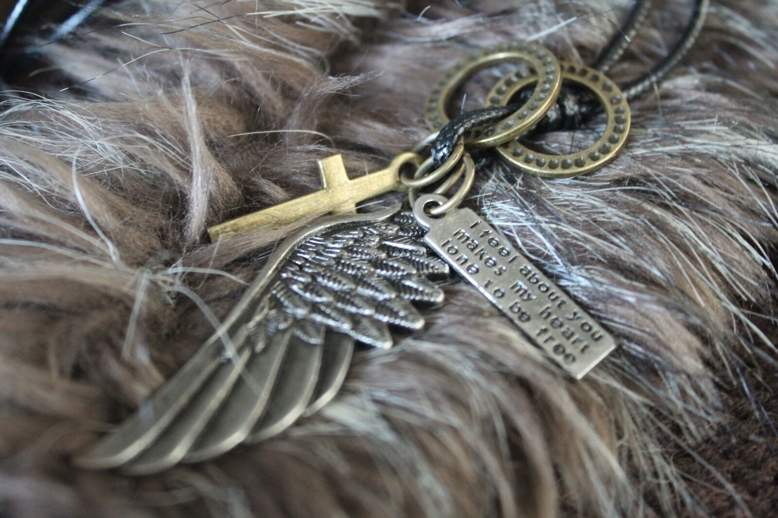 Canon EOS 1300D (EOS Rebel T6 / EOS Kiss X80) sample photo. Necklace, wing, plumage photography