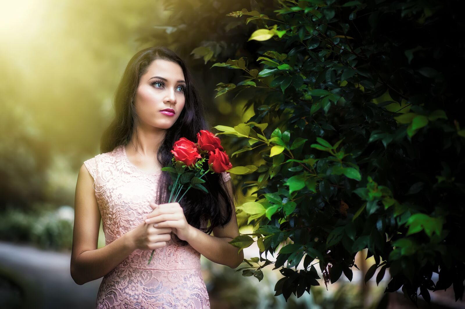 Nikon D700 sample photo. Beauty, rose, dress photography