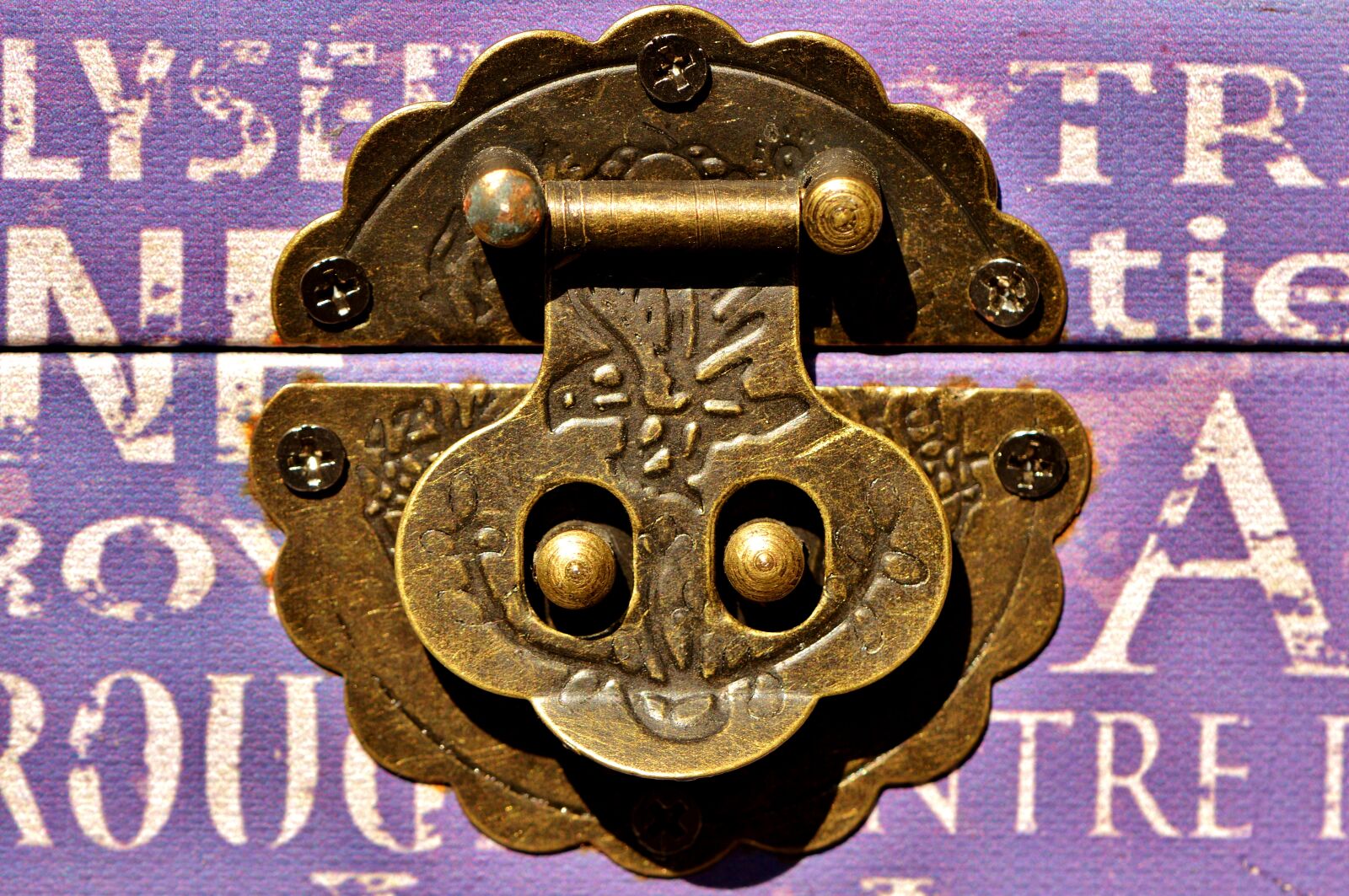 Nikon D3200 sample photo. Chest, closure, ornament photography