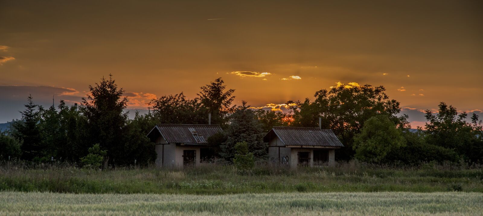 Canon EOS 70D sample photo. Country, in the evening photography