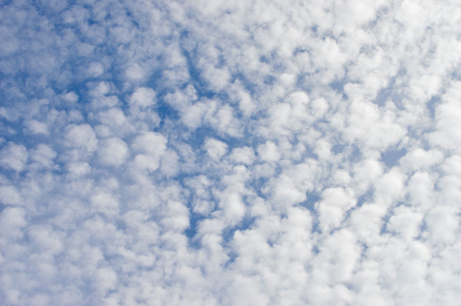 Nikon D3200 sample photo. Clouds, clouds of borrego photography
