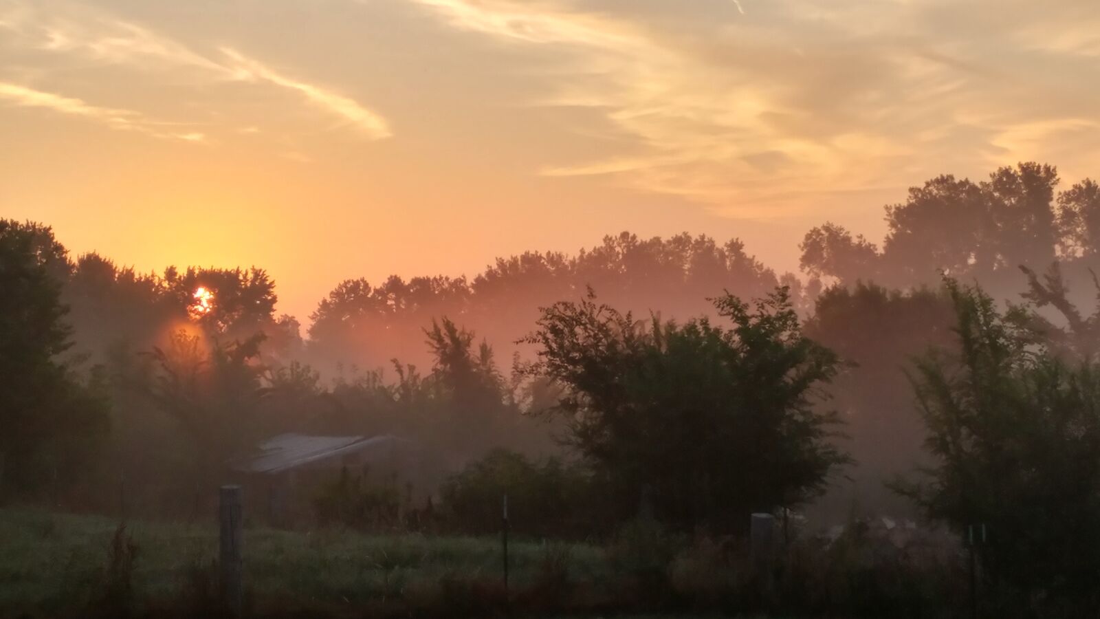 LG G5 sample photo. Misty, foggy, morning photography