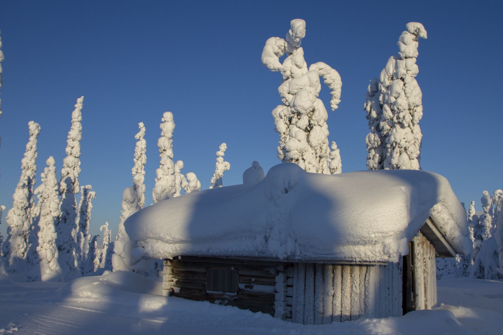 Canon EOS 7D sample photo. Lapland, winter, snow photography