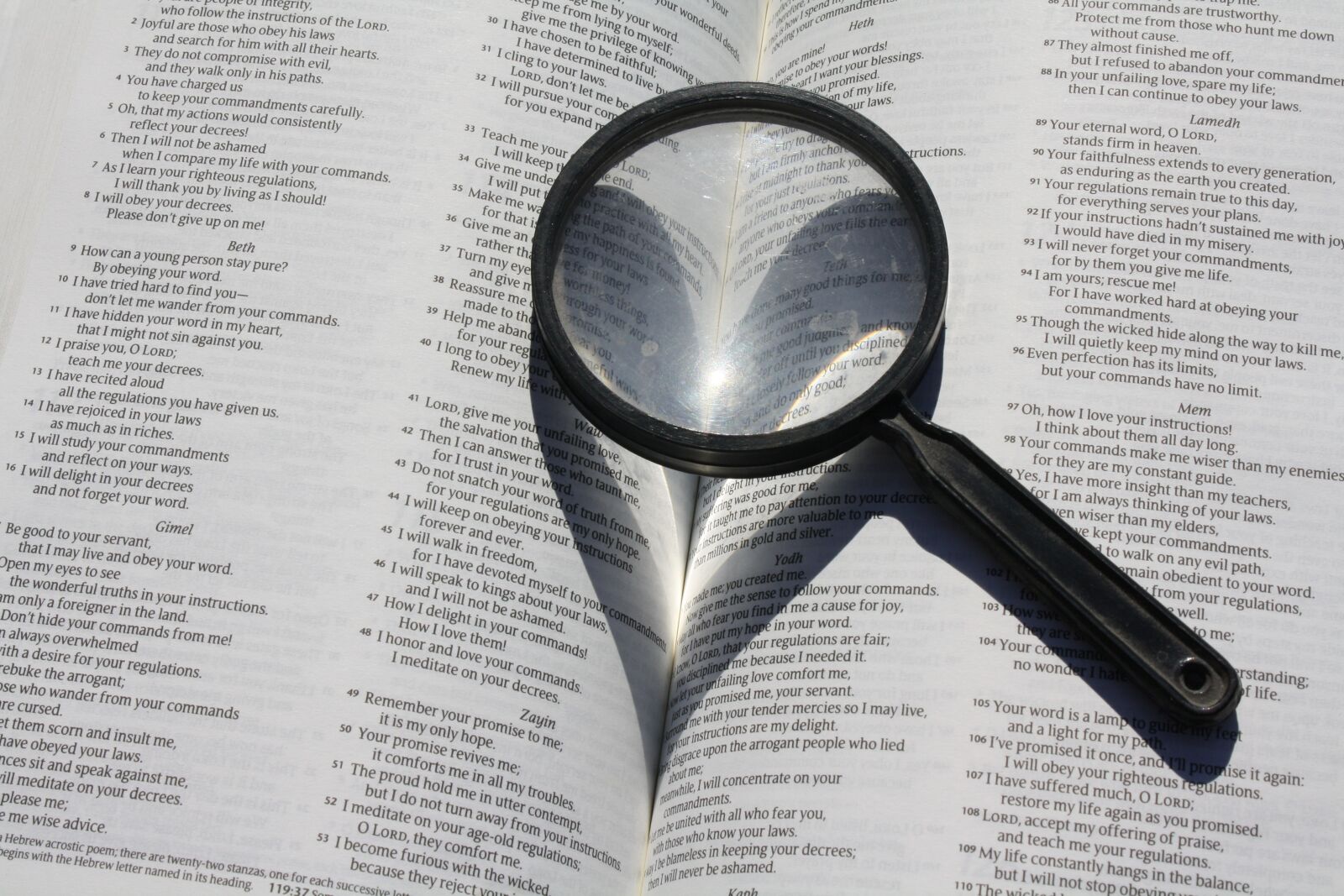Canon EOS 1000D (EOS Digital Rebel XS / EOS Kiss F) sample photo. Opened book, magnifier, magninfier photography