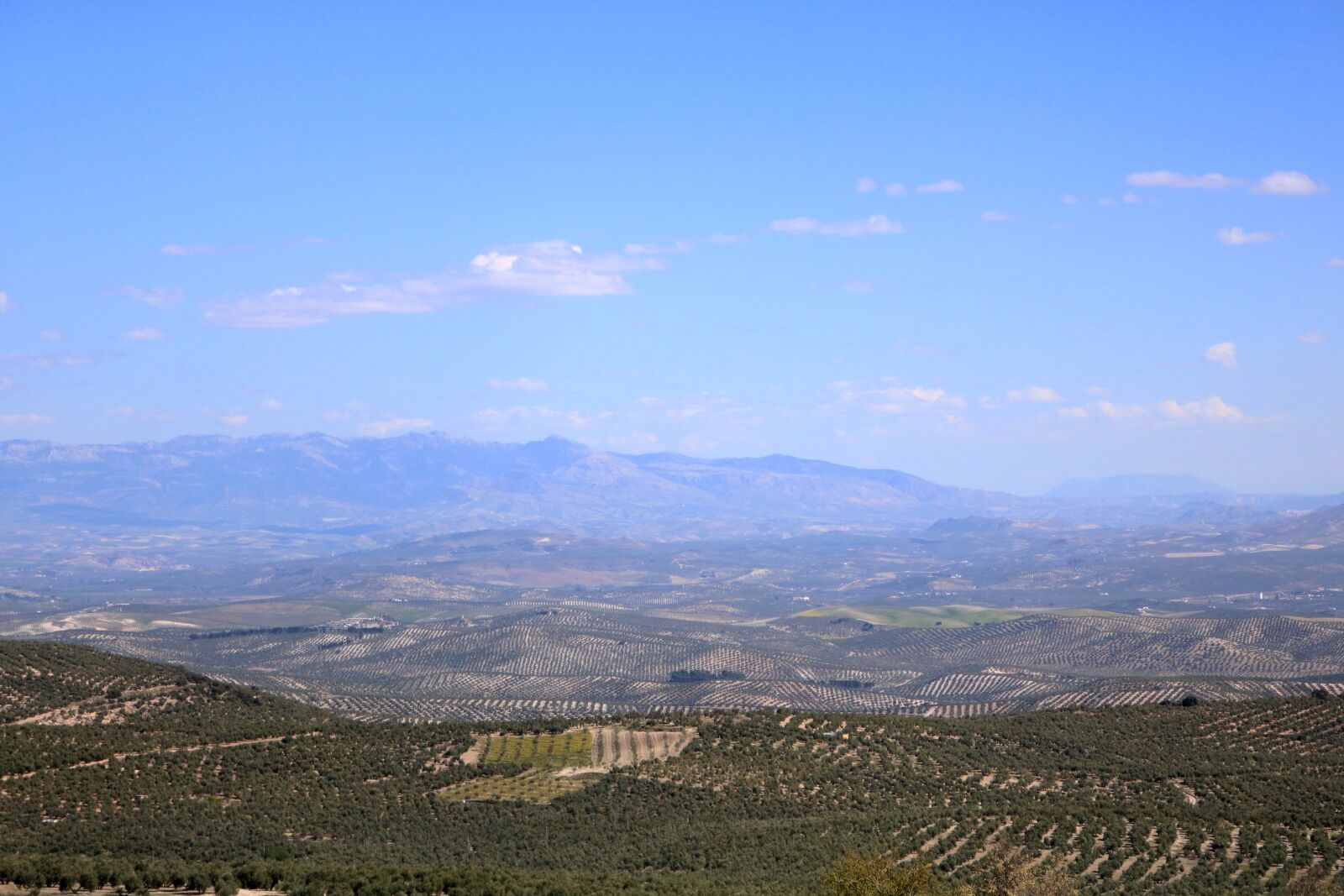 Canon EOS 750D (EOS Rebel T6i / EOS Kiss X8i) sample photo. Landscape, baeza, valley of photography