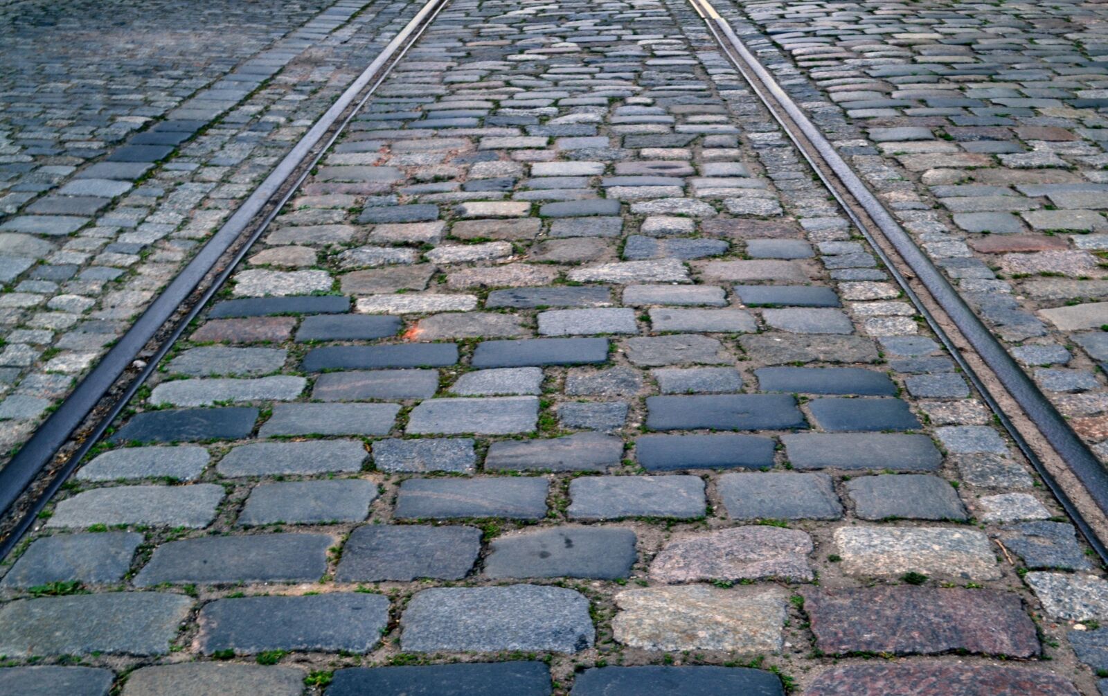 Nikon D3100 sample photo. Rails, pavement, tram photography