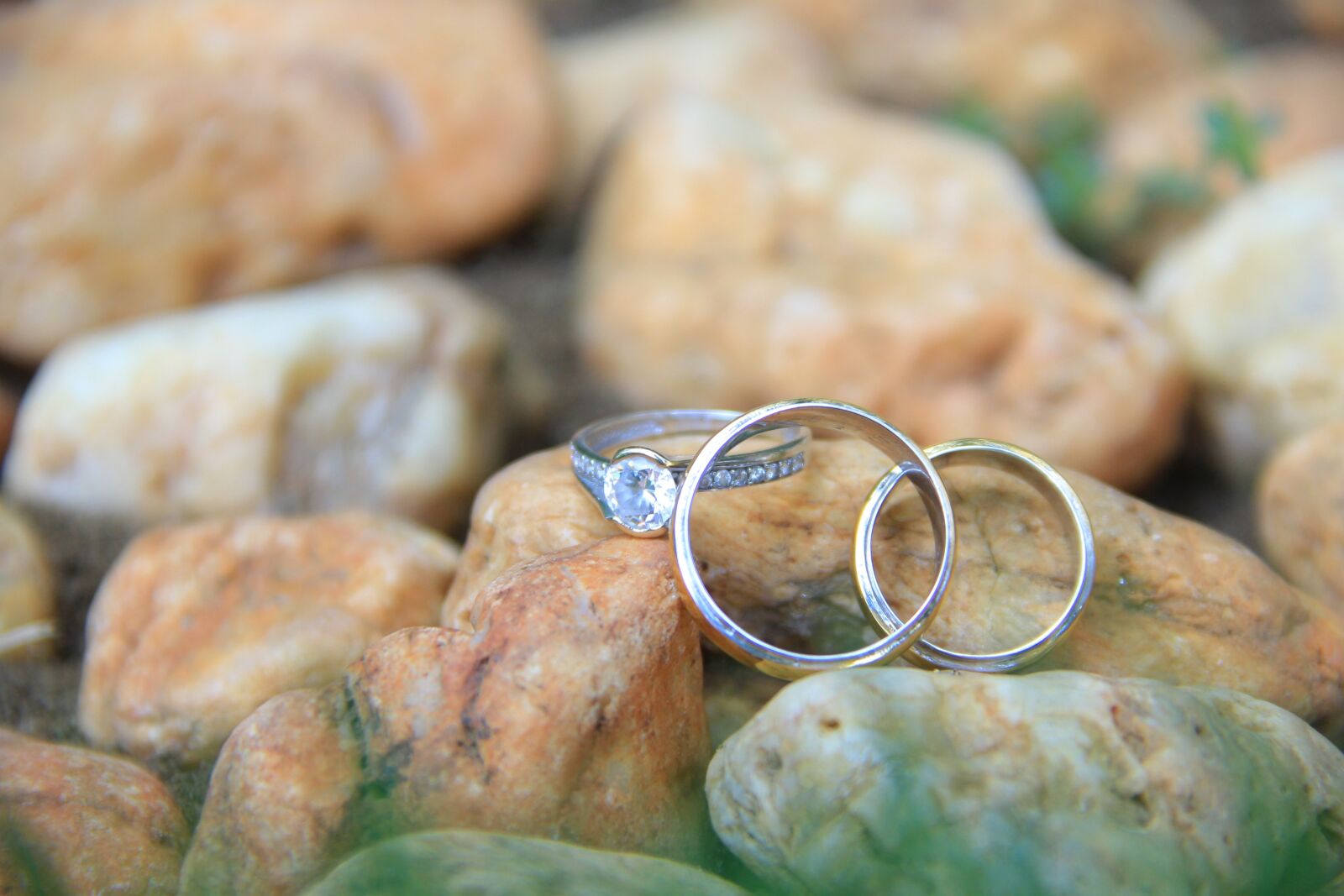 Canon EOS 60D sample photo. Ring, wedding ring, beautiful photography