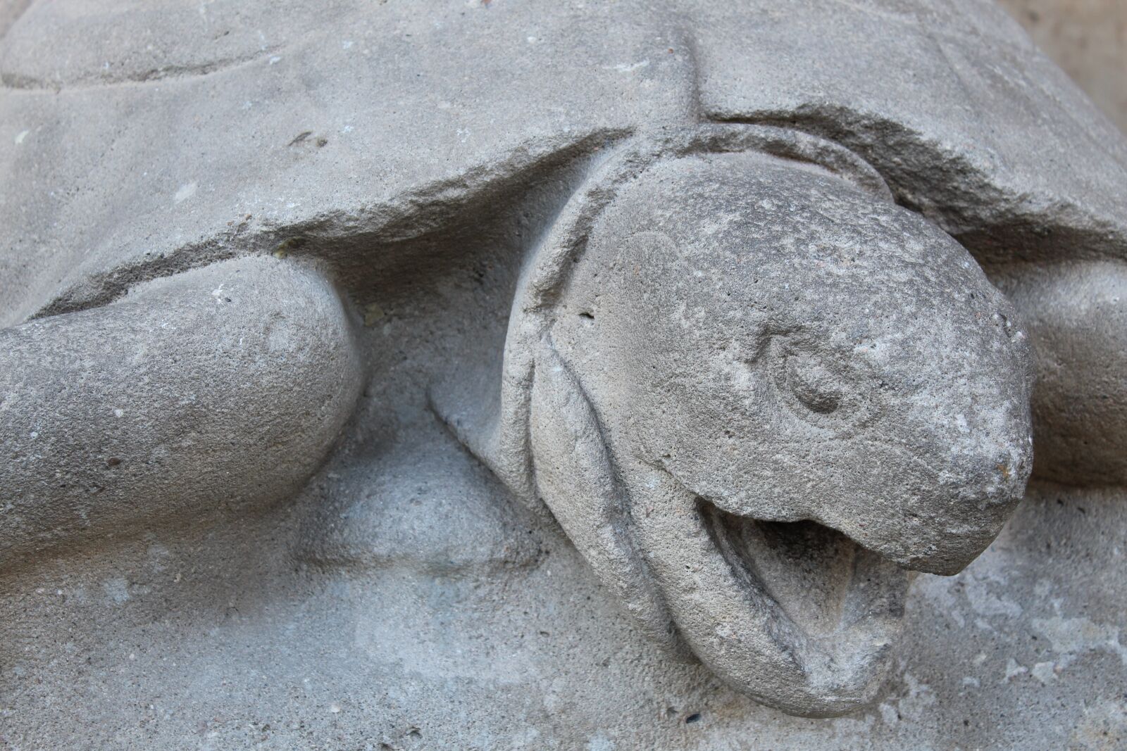 Canon EOS 1300D (EOS Rebel T6 / EOS Kiss X80) sample photo. Turtle, sculpture, artwork photography