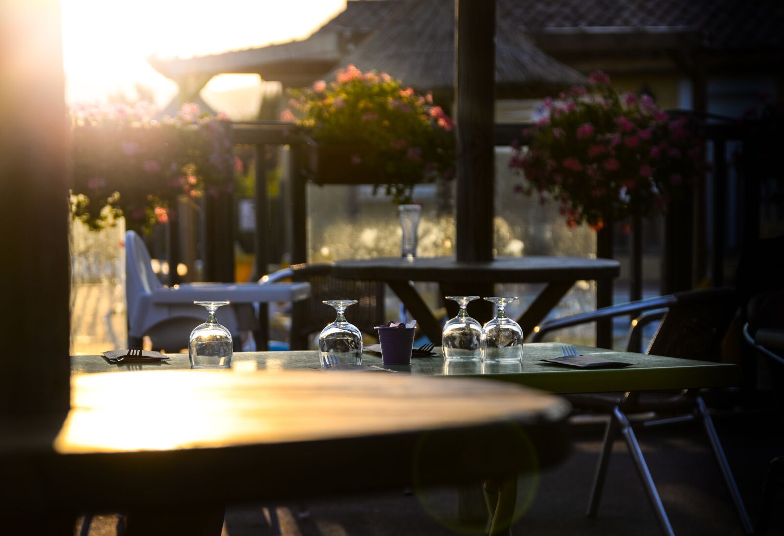 Nikon D610 sample photo. Set table, dining, restaurant photography