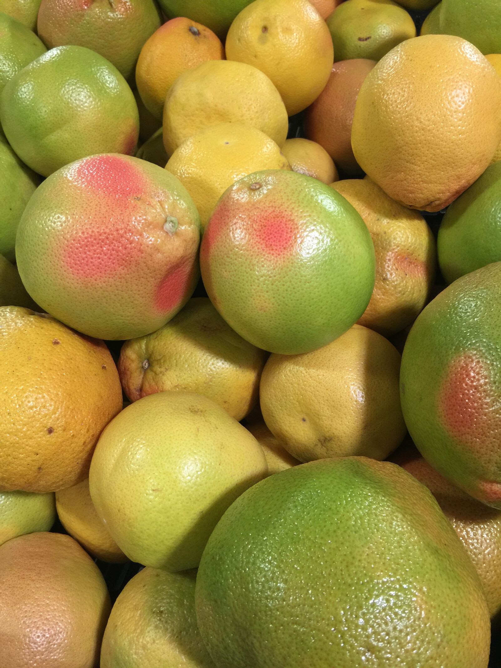 iPhone 6 Plus back camera 4.15mm f/2.2 sample photo. Grapefruit, fruit, market photography