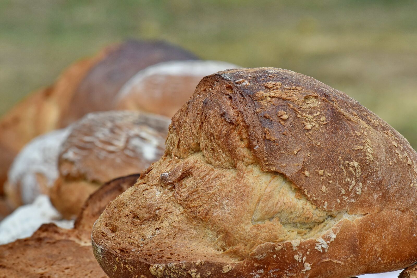 Nikon D5500 sample photo. Homemade, wheat, bread, food photography