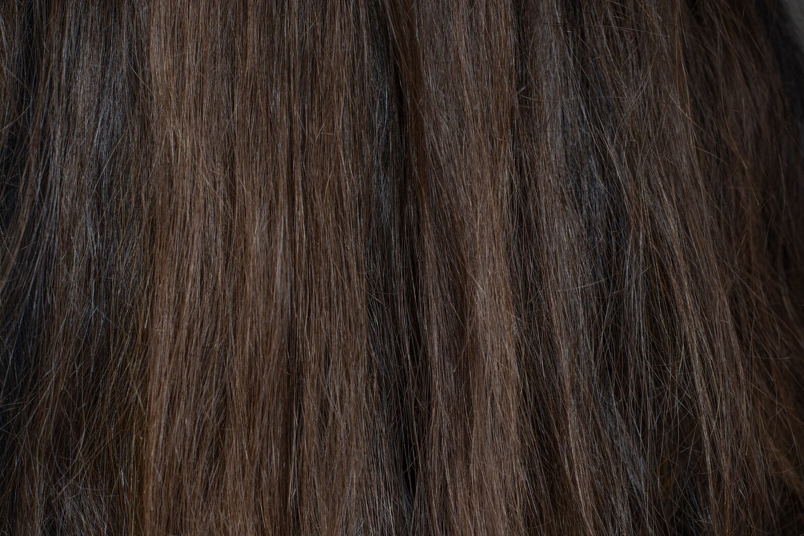 Nikon D7100 sample photo. Hair, dark, brown photography