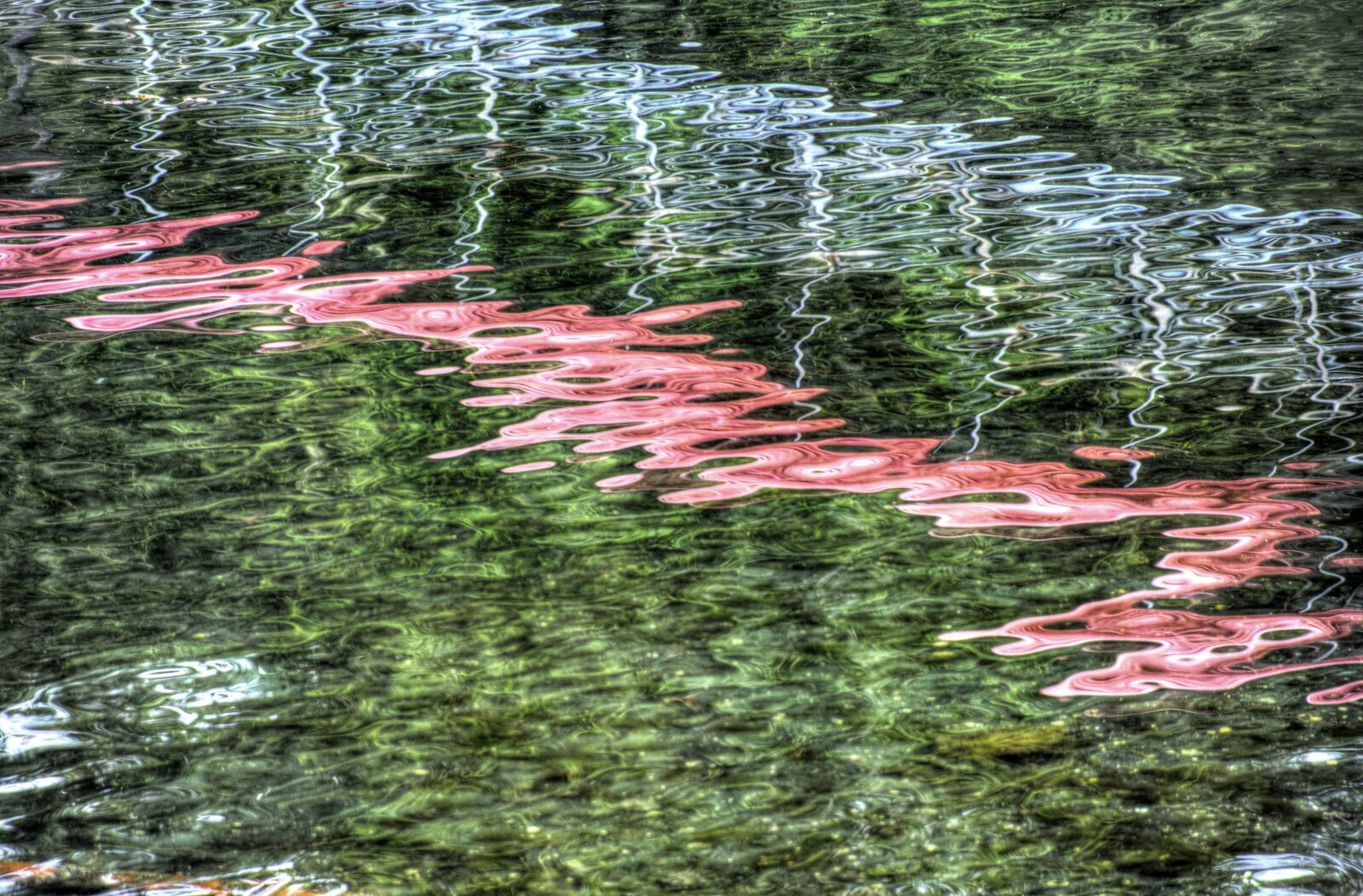 Nikon D810 sample photo. Water, reflections, nature photography