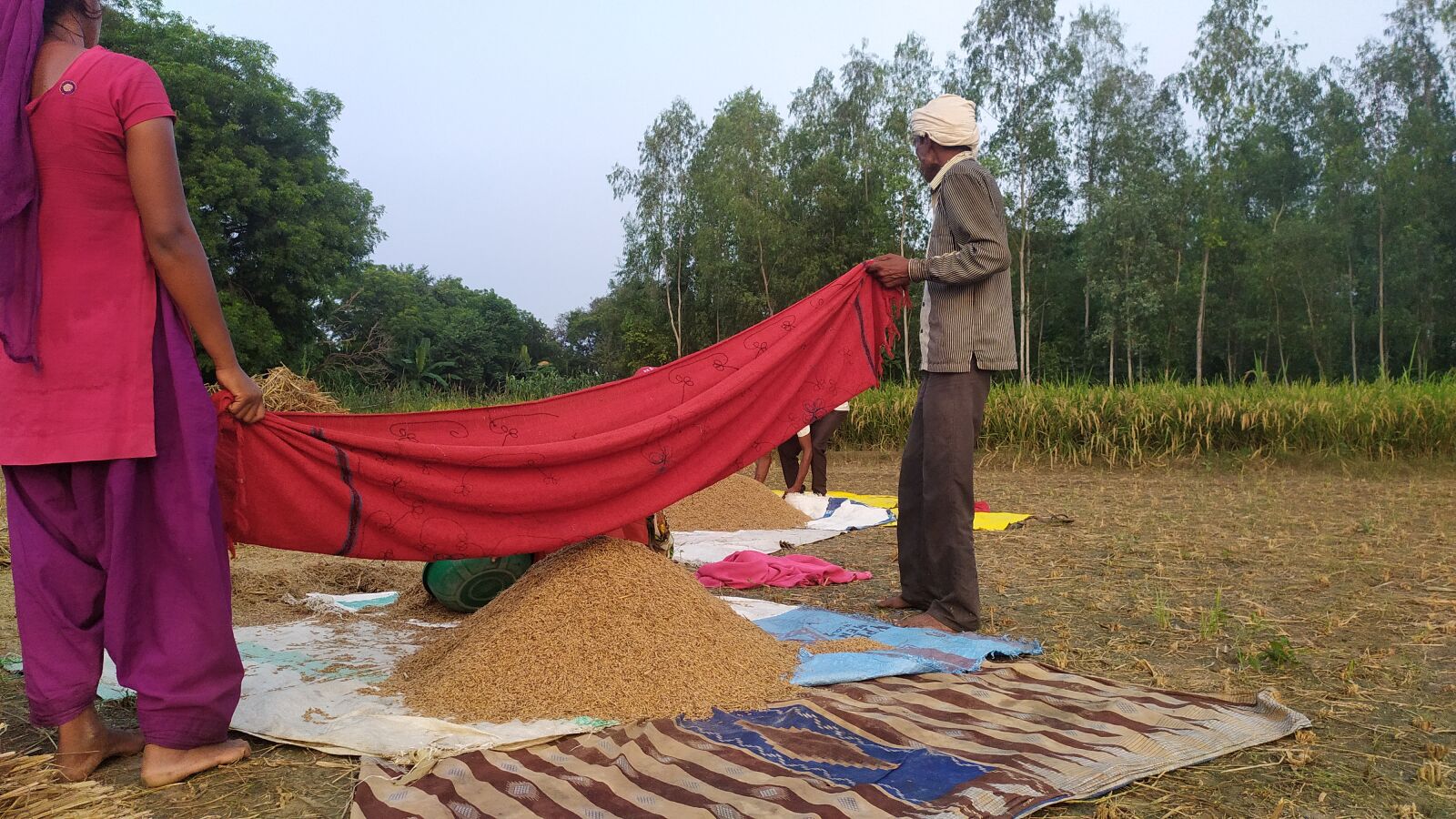 Xiaomi Redmi Note 7S sample photo. India, farmer, field photography