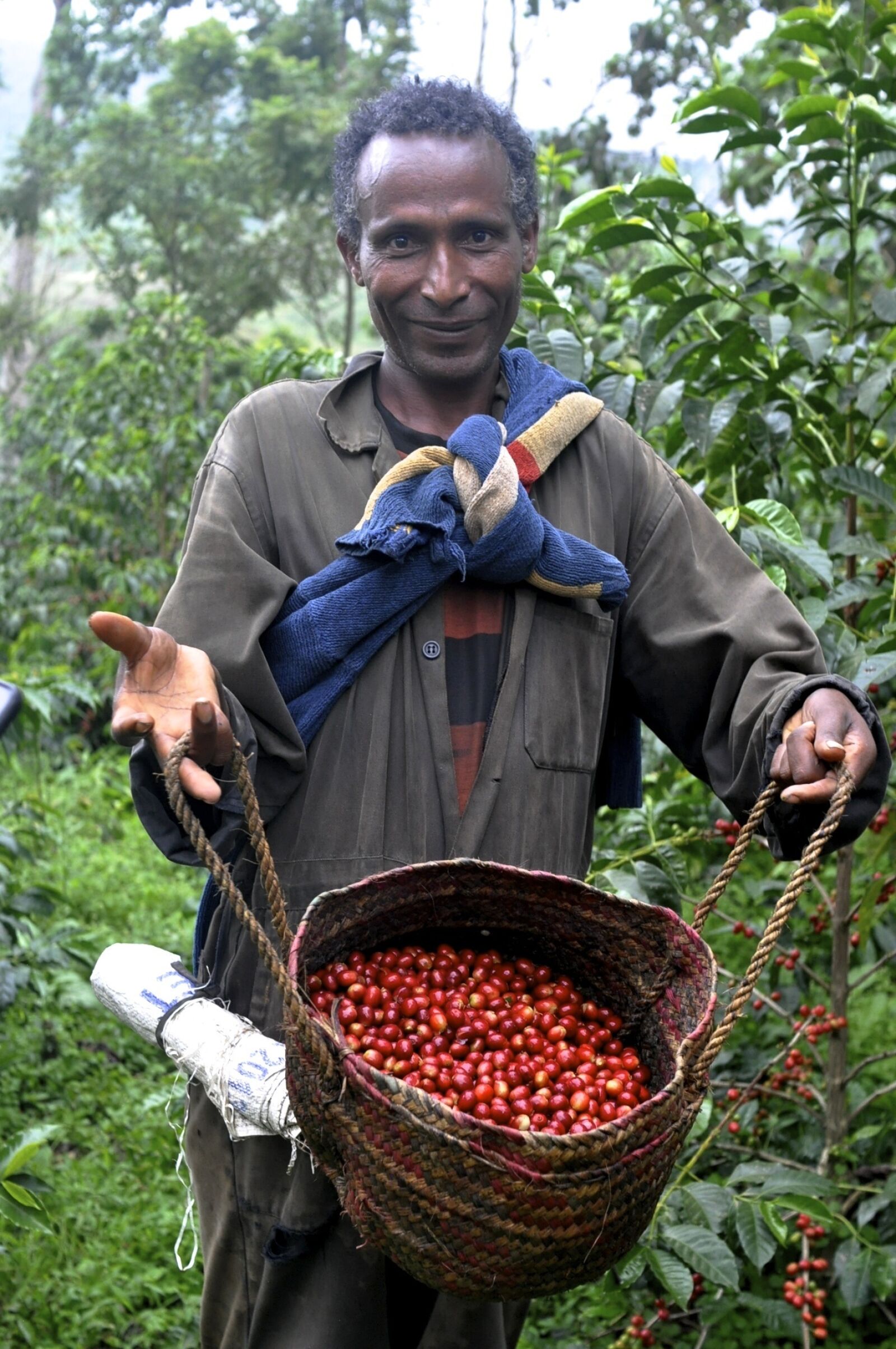Nikon D90 sample photo. Ethio, coffee, farm photography