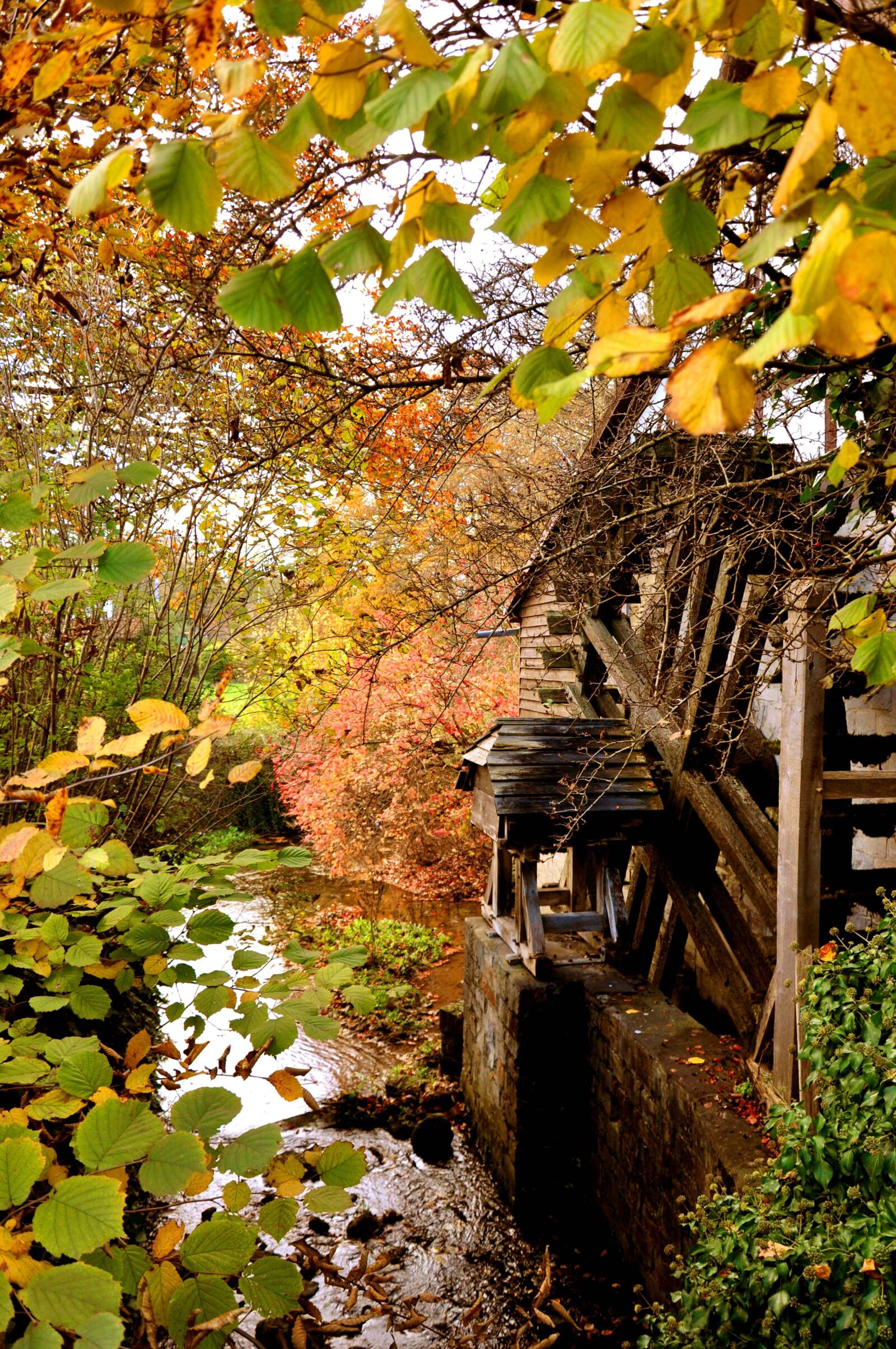 Nikon D5000 sample photo. Fall foliage, waterwheel, creek photography