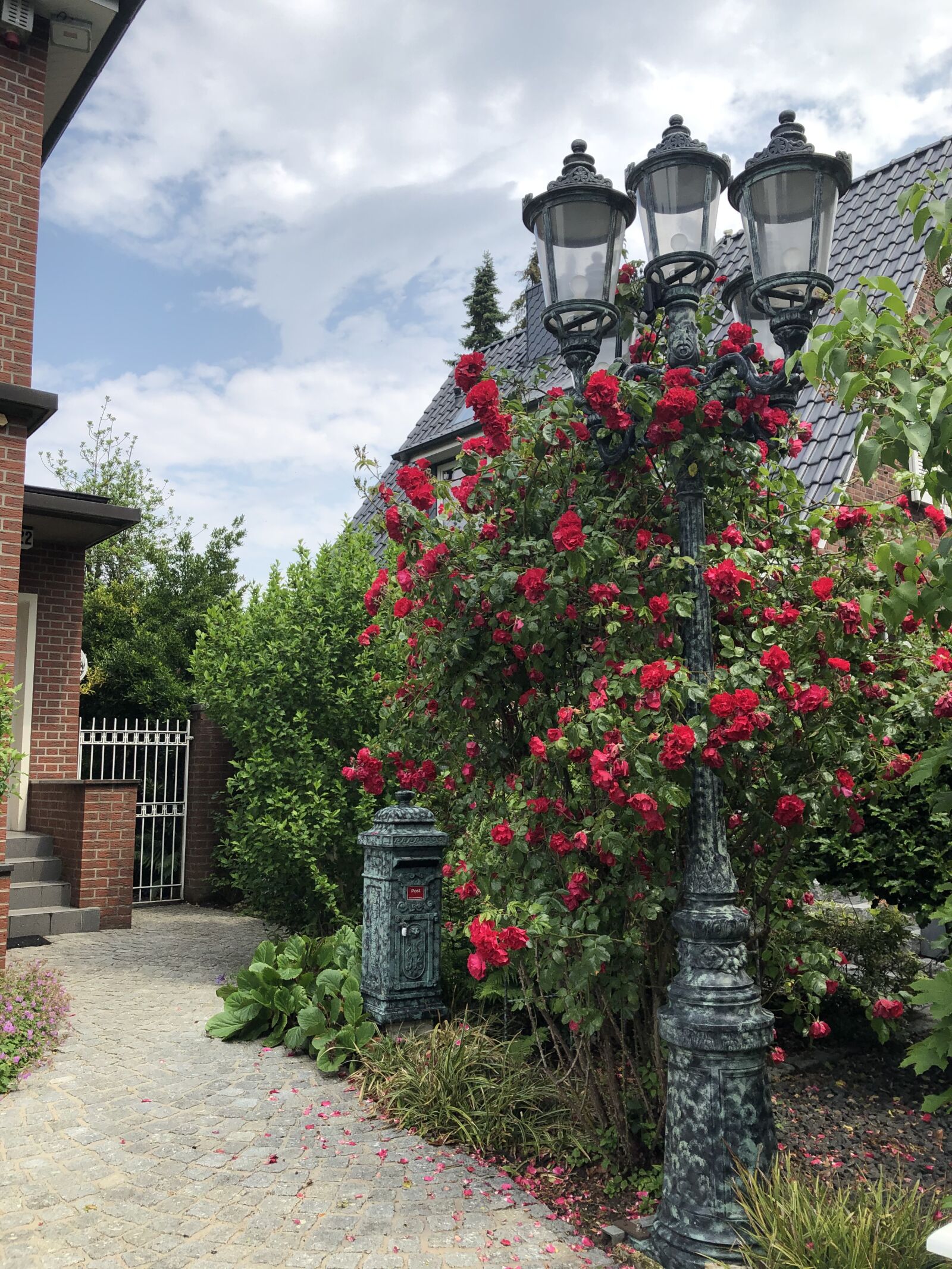 iPhone 8 Plus back dual camera 3.99mm f/1.8 sample photo. Urban, hamburg, lamps photography