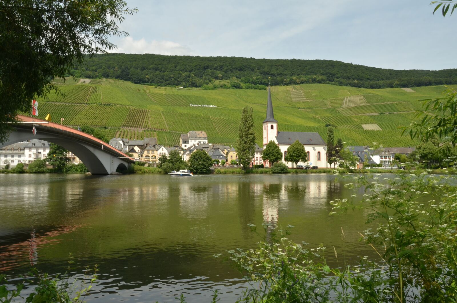 Nikon D7000 sample photo. River, moselle, wine photography