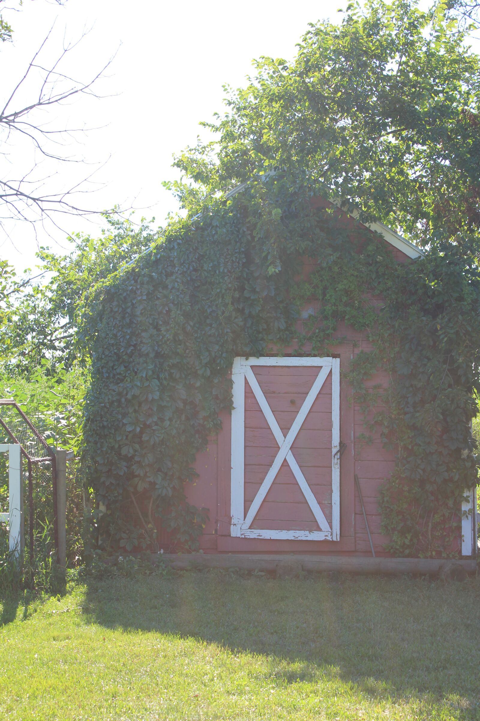Canon EOS 550D (EOS Rebel T2i / EOS Kiss X4) sample photo. Barn, farm, red photography