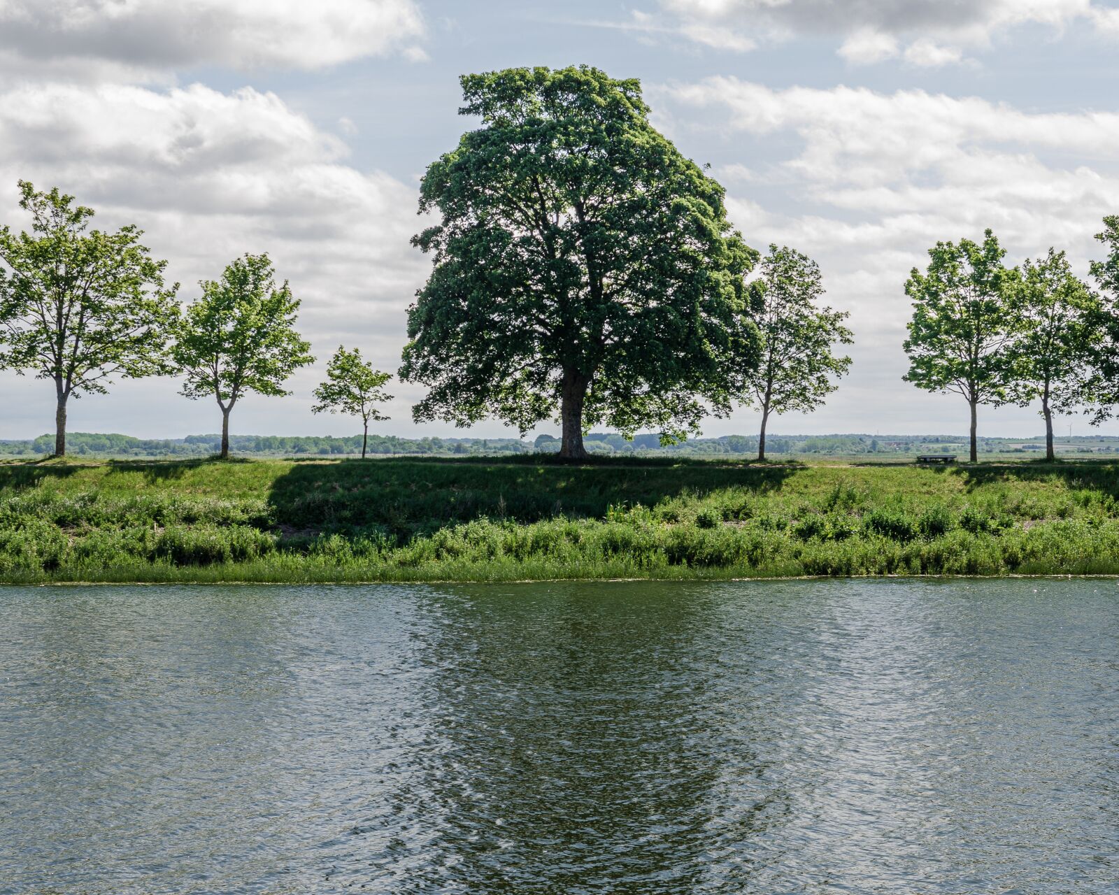 Nikon D7000 sample photo. Landscape, tree, water photography