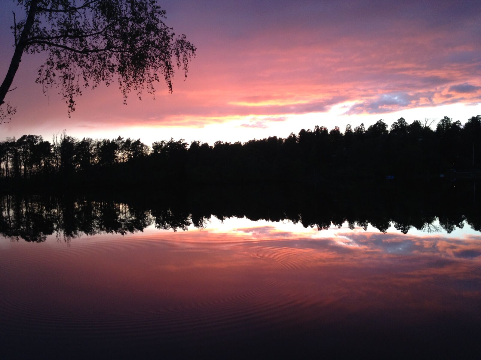 iPhone 4S back camera 4.28mm f/2.4 sample photo. Reflections, sunset, treeline, water photography