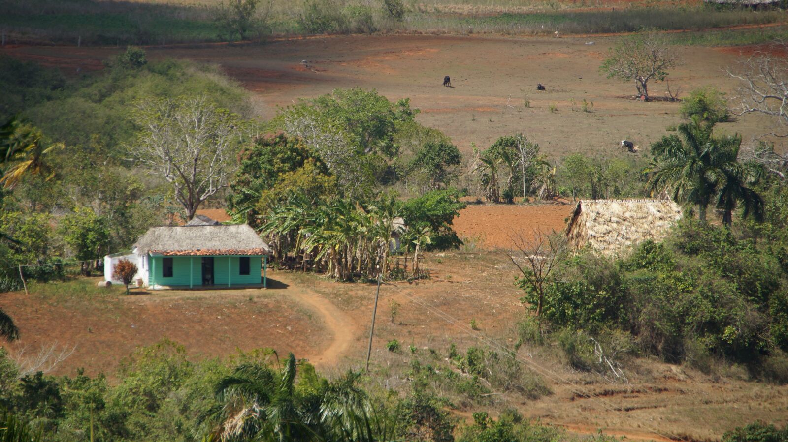 Sony SLT-A57 sample photo. House, landscape, cuba photography