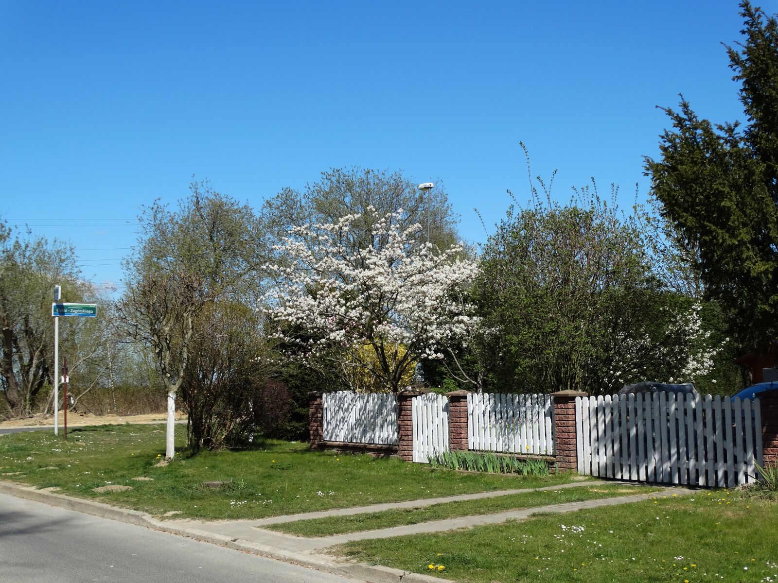 Sony Cyber-shot DSC-HX300 sample photo. Szczecin, spring, white photography