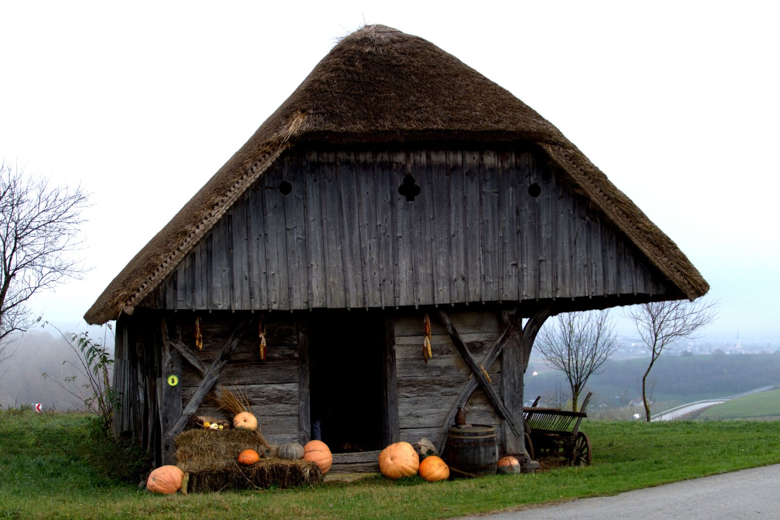 Panasonic Lumix DMC-FZ1000 sample photo. Old house, thatched roof photography