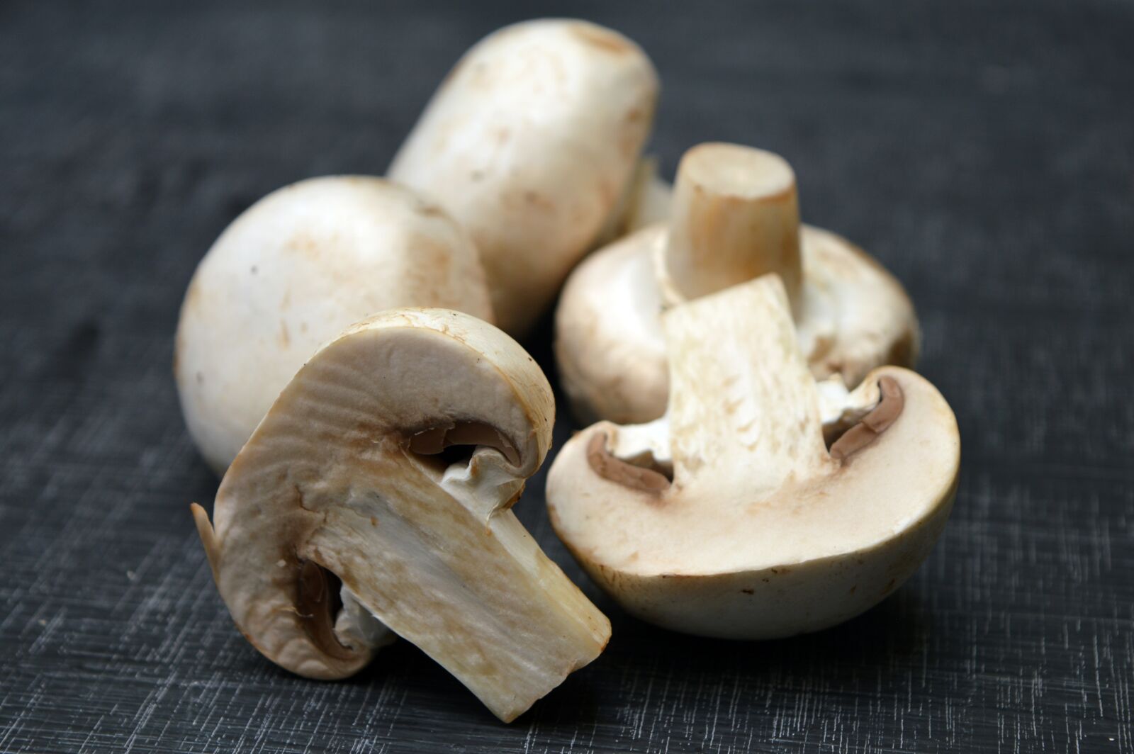 Nikon D3200 sample photo. Fungi, food, mushroom photography