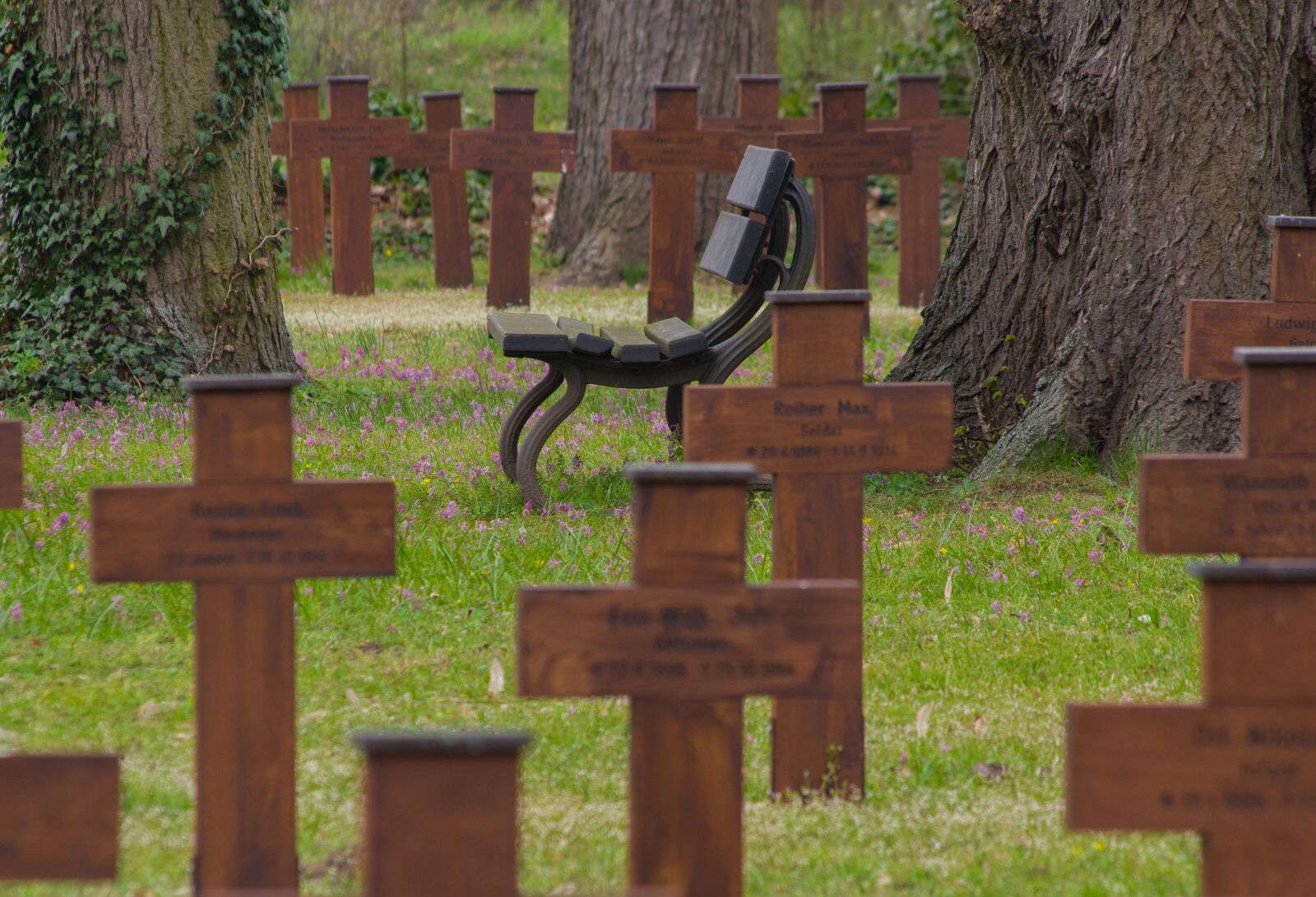 Pentax K-70 sample photo. Cemetery, honorary cemetery, world photography