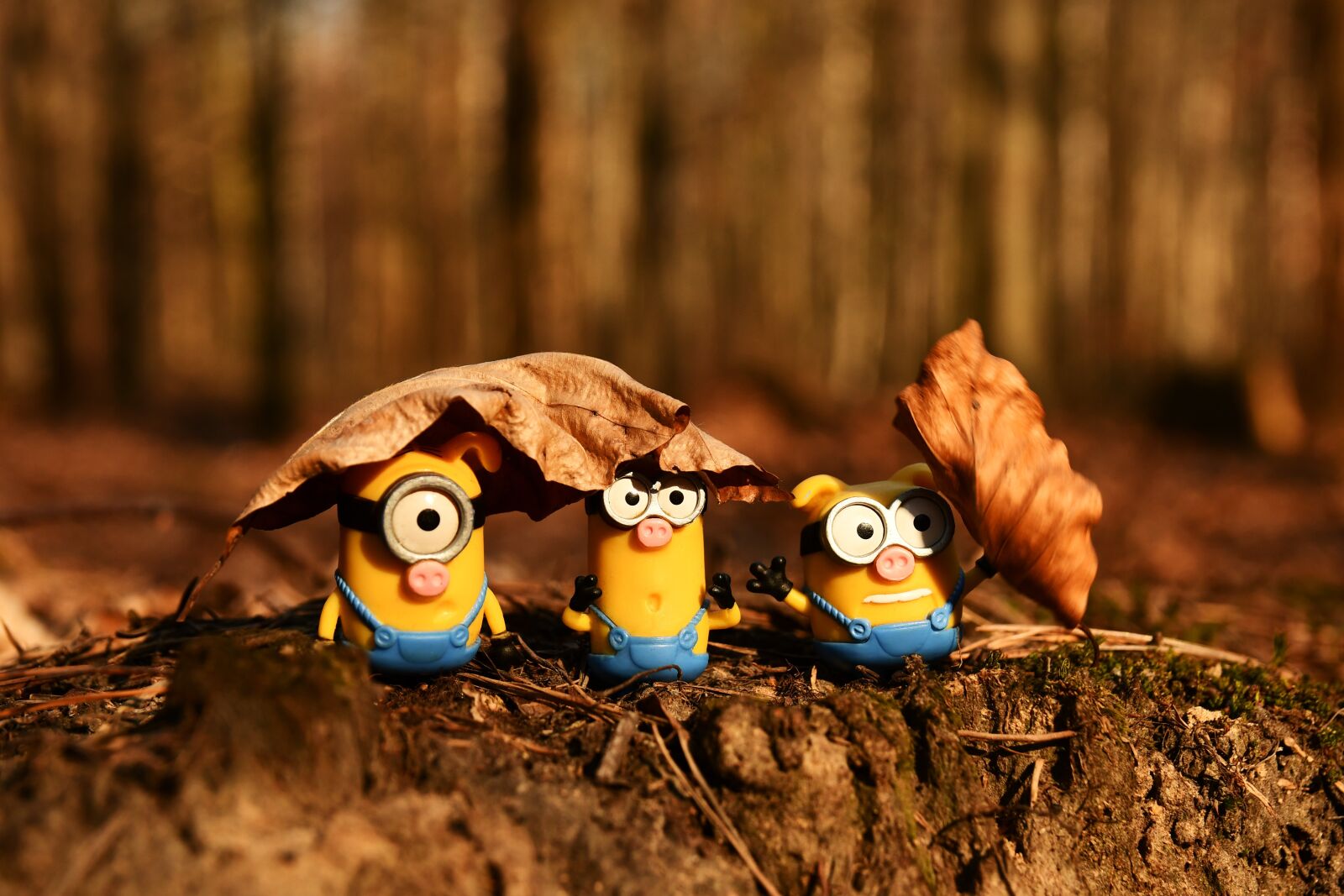 Nikon D7500 sample photo. Minion, funny, toys photography