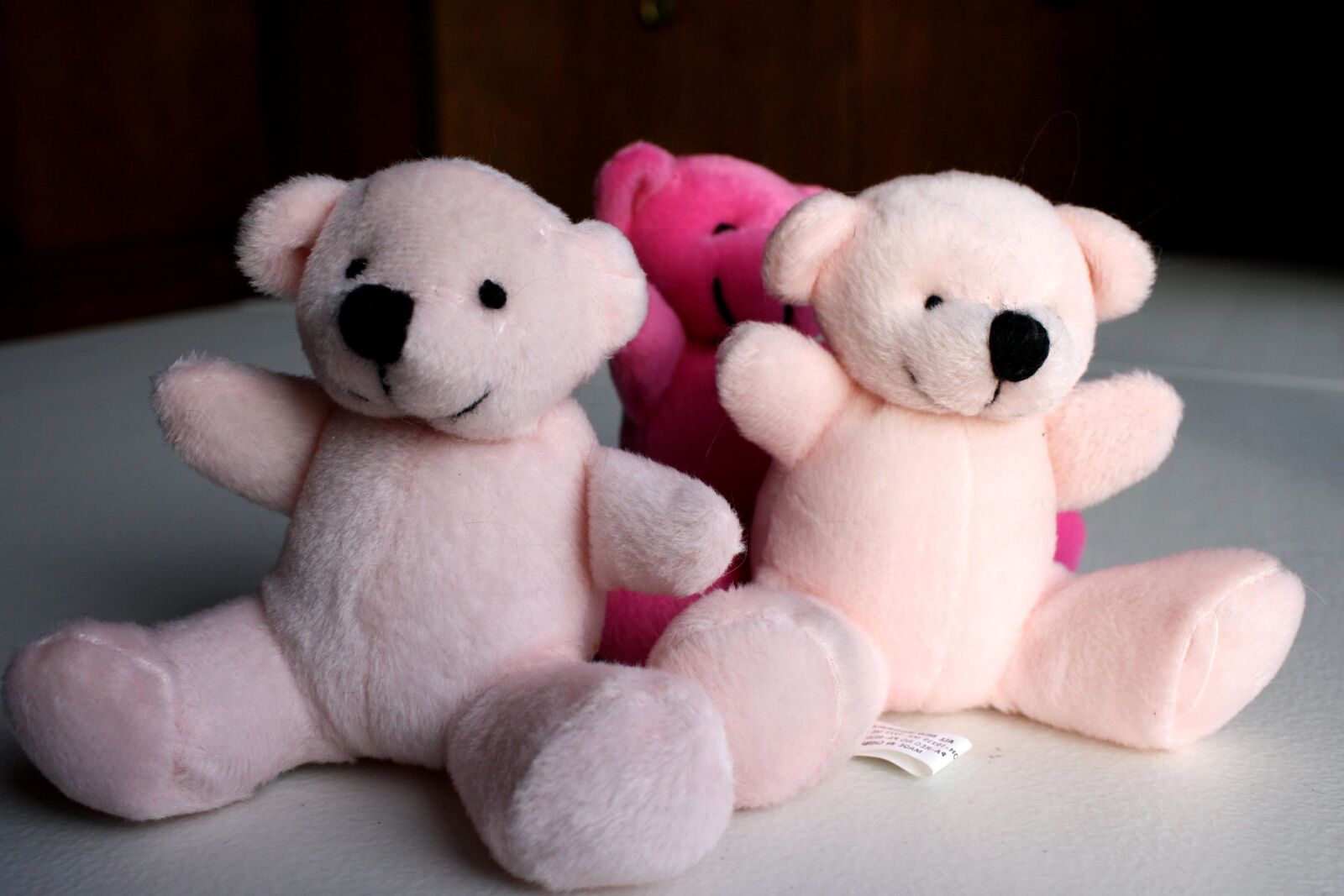 f/3.5-5.6 IS sample photo. Pink teddy bears photography