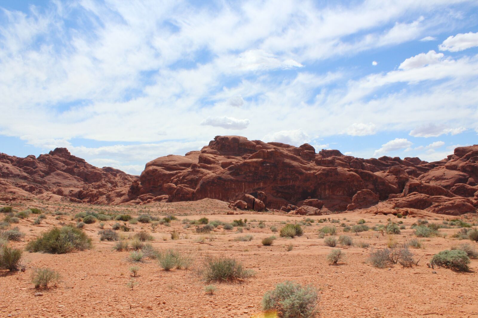 Canon EOS 1200D (EOS Rebel T5 / EOS Kiss X70 / EOS Hi) sample photo. Desert, arizona, cactus photography