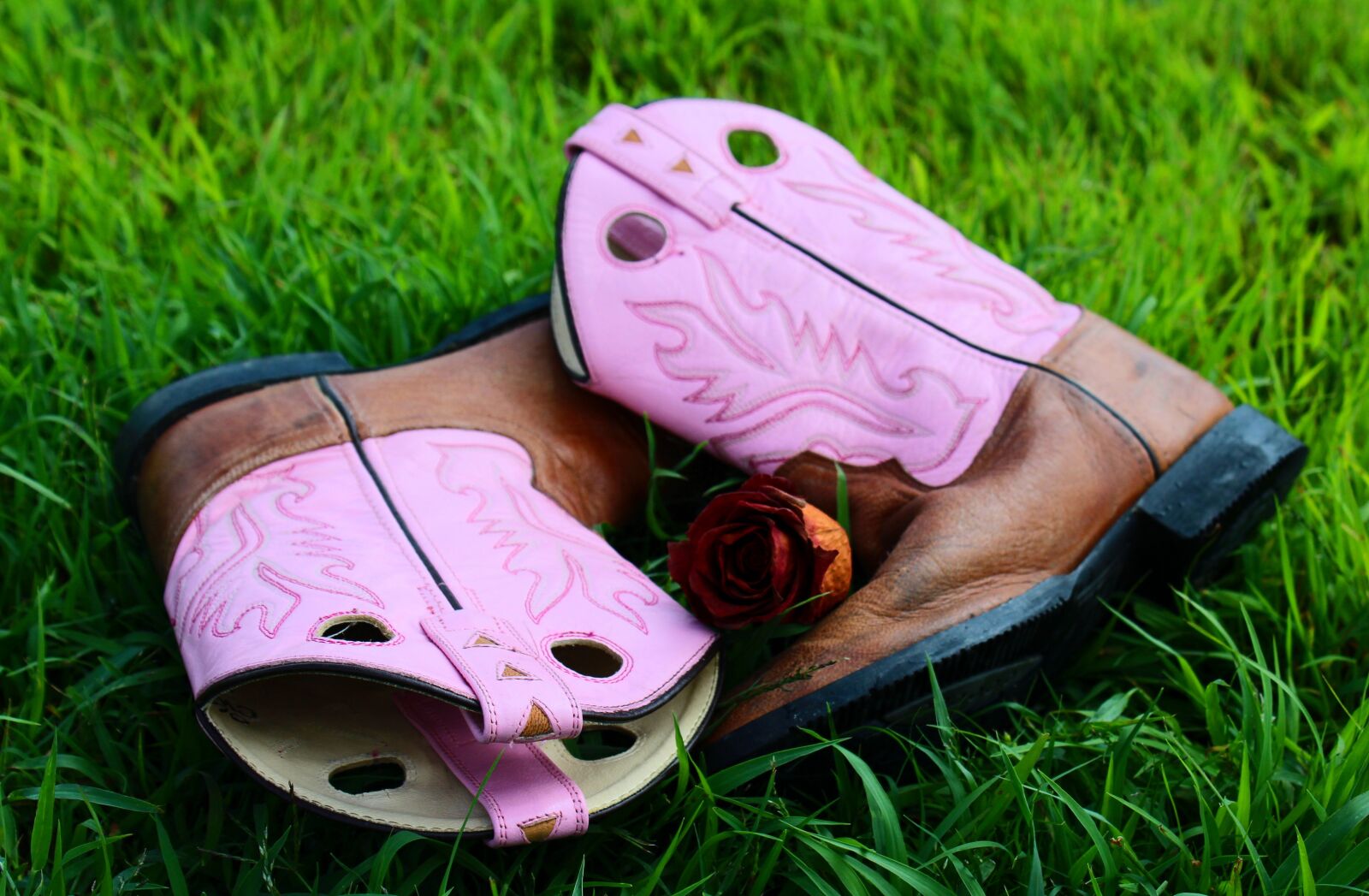 Canon EOS 1200D (EOS Rebel T5 / EOS Kiss X70 / EOS Hi) sample photo. Boots, leather, grass photography