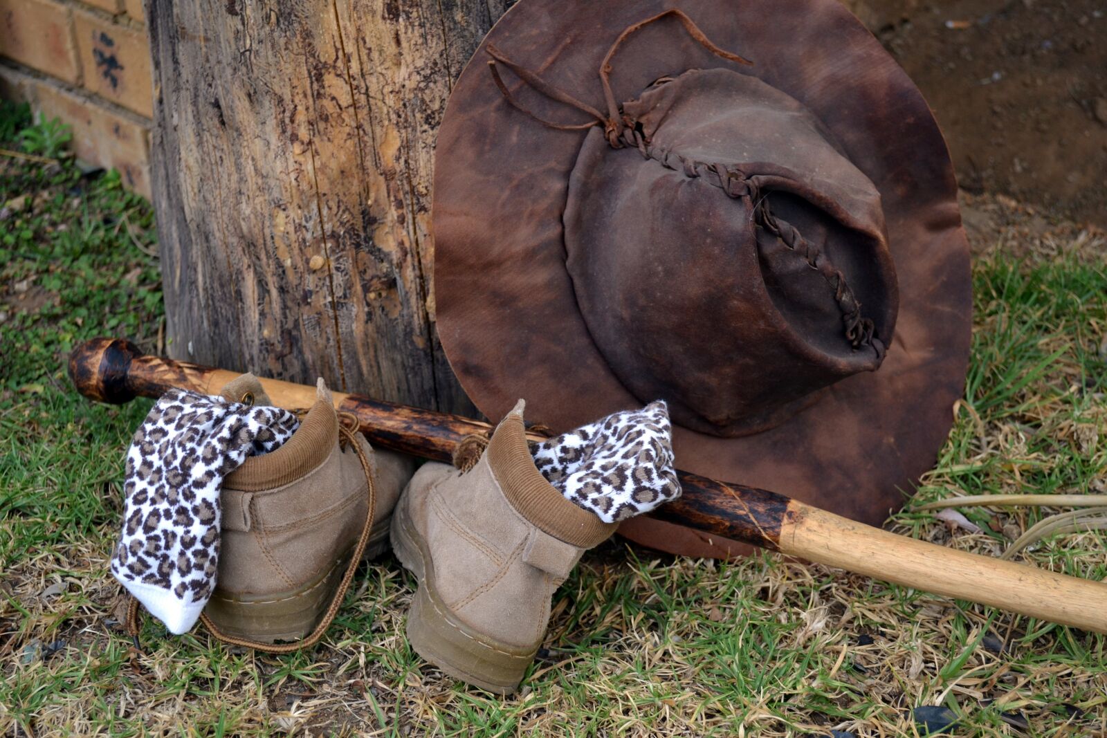 Nikon D3100 sample photo. Walking, farm life, outdoors photography