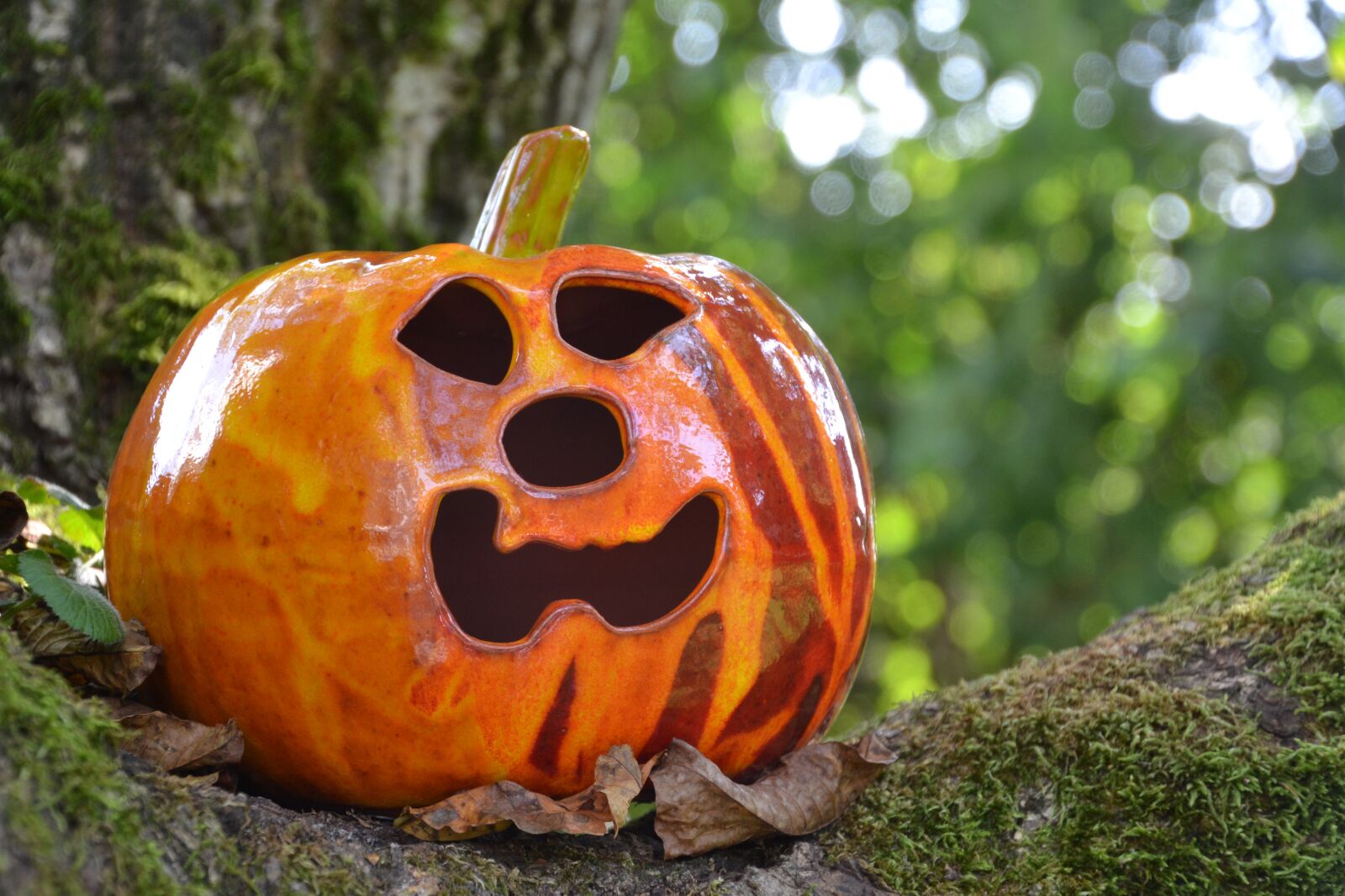 Nikon D3100 sample photo. Jack-o'-lantern, pumpkin, halloween photography