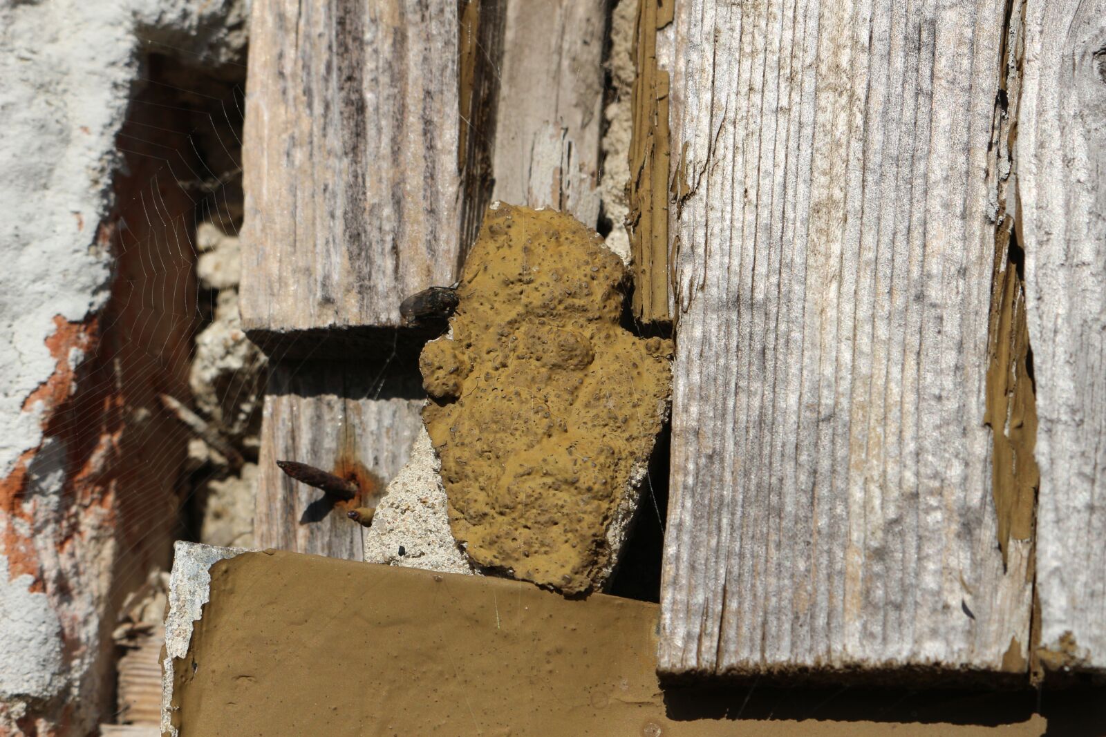 Canon EOS 100D (EOS Rebel SL1 / EOS Kiss X7) sample photo. Wood, wall, old photography