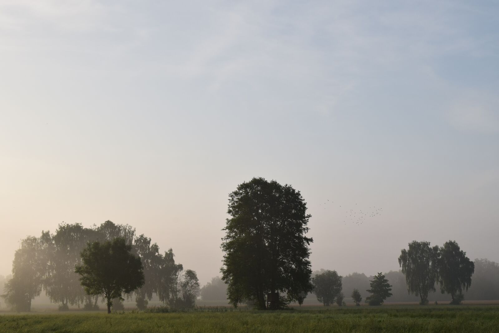 Nikon D3300 sample photo. Morning mist, fog, landscape photography