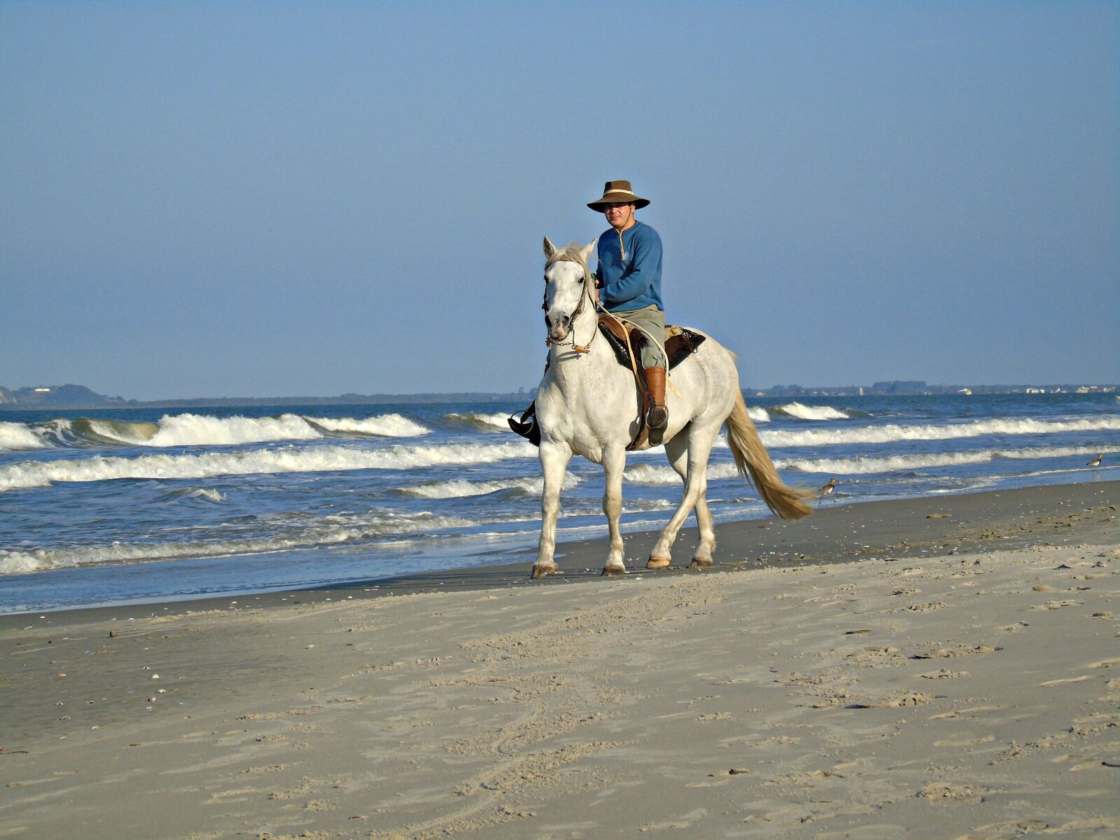 Sony Cyber-shot DSC-H400 sample photo. Horse, beira mar, beach photography