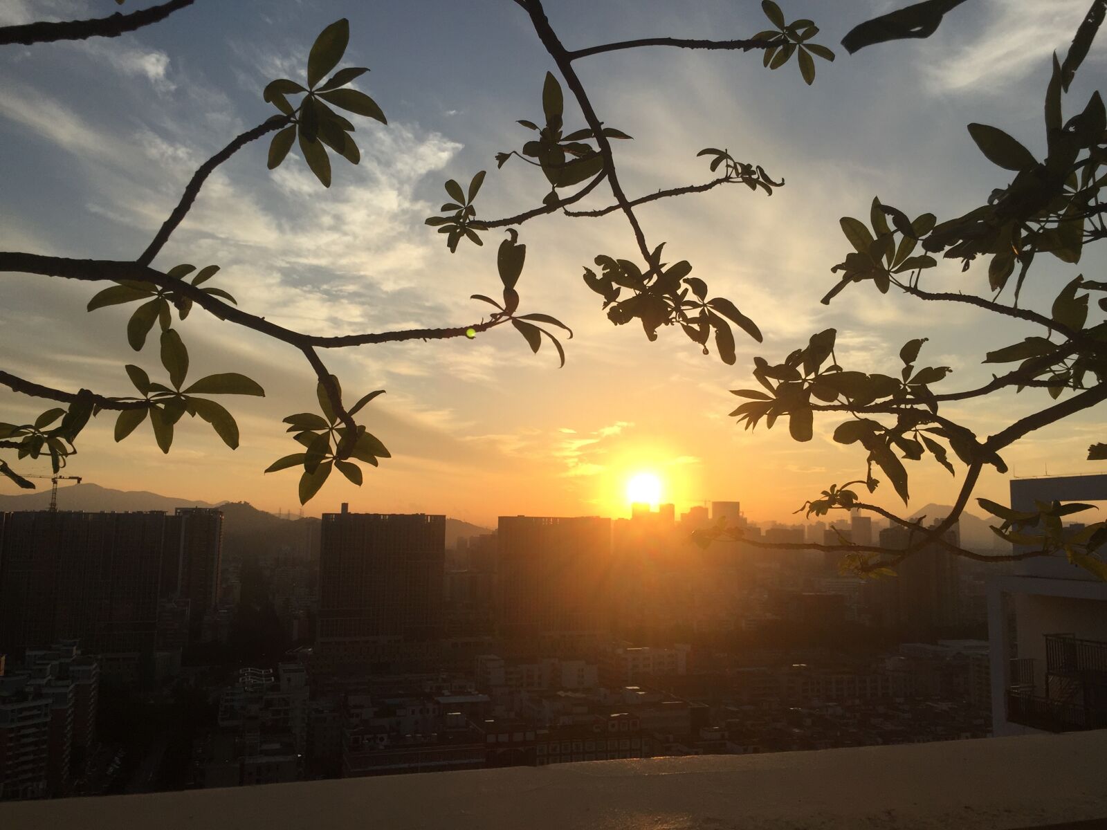 iPhone 6 back camera 4.15mm f/2.2 sample photo. Shenzhen, morning, sunrise photography