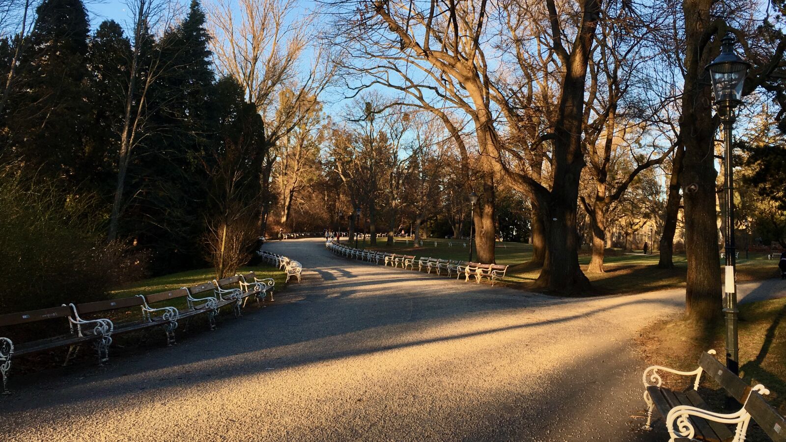 Apple iPhone 6s sample photo. Corona, covid19, virus photography