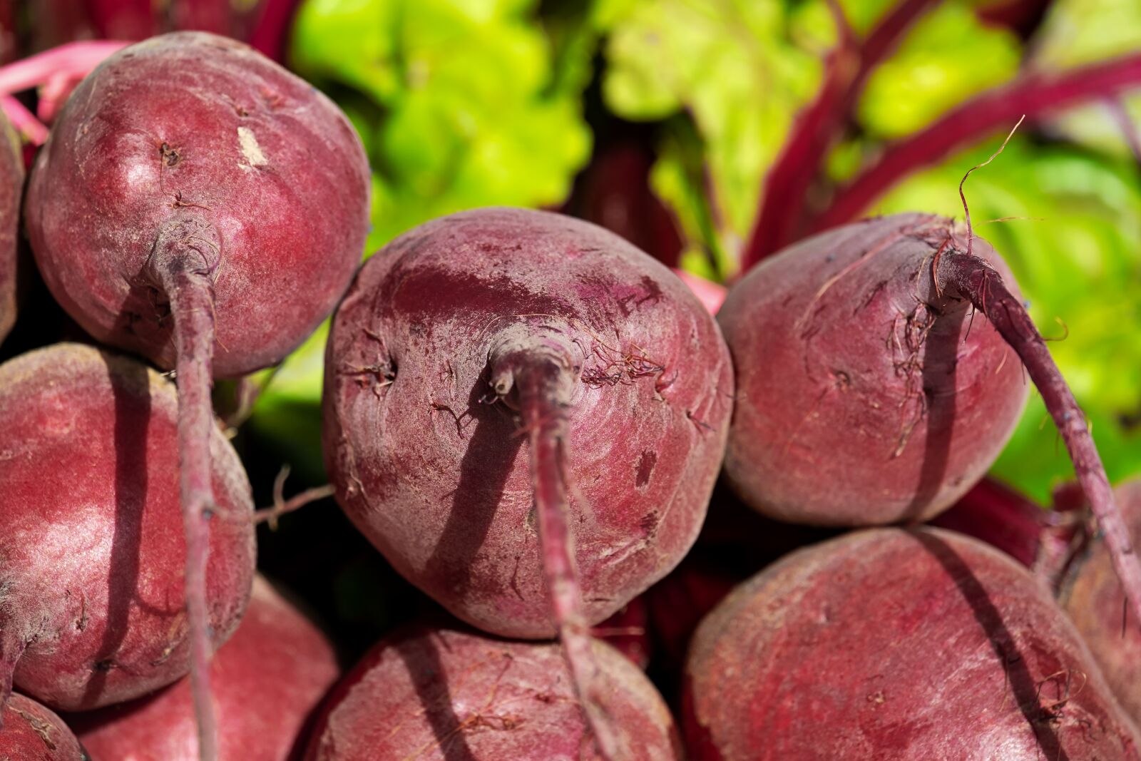 Fujifilm XF 55-200mm F3.5-4.8 R LM OIS sample photo. Beetroot, vegetables, healthy photography